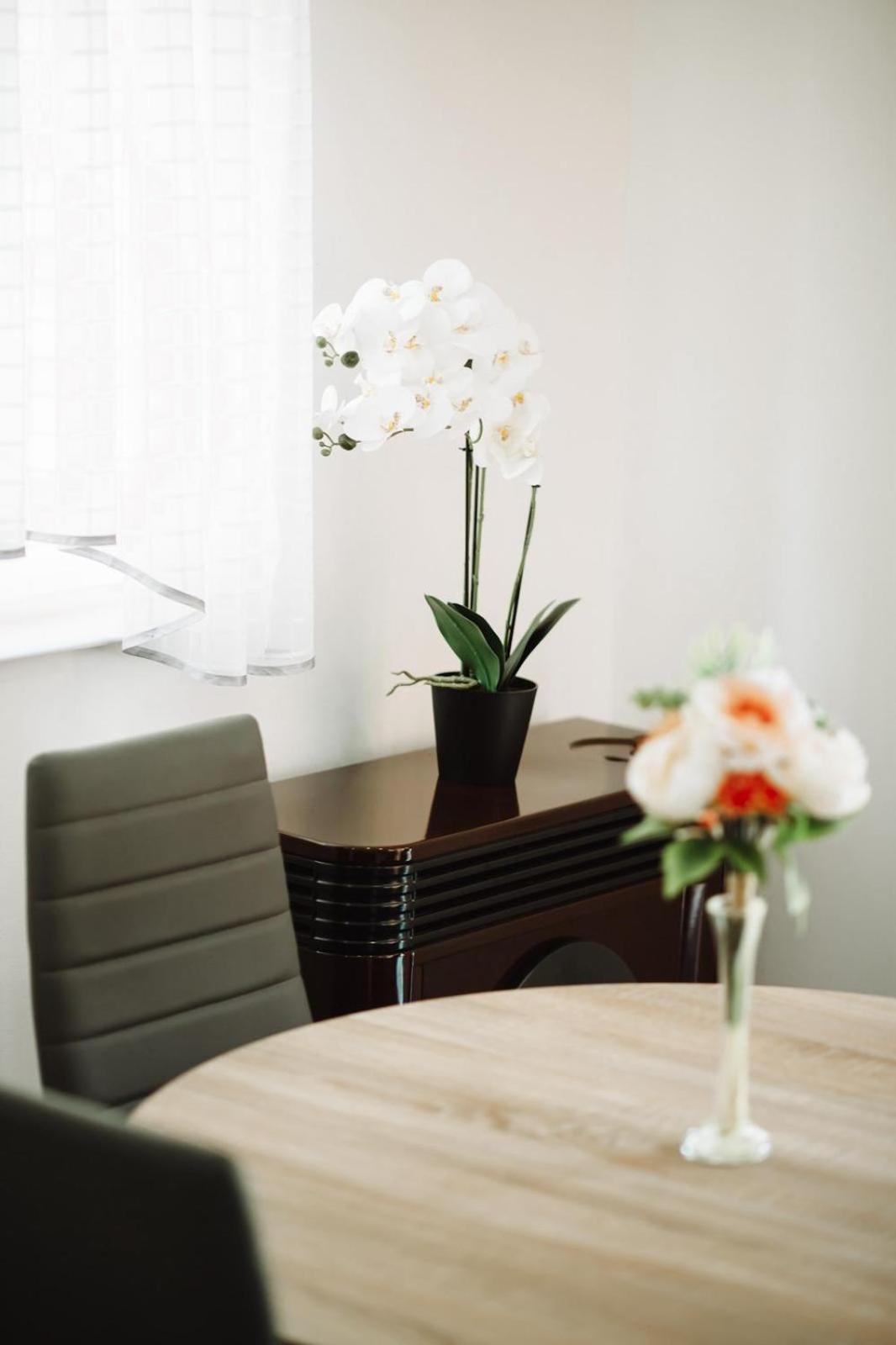 Apartman Sunny Hills Krapina Eksteriør bilde